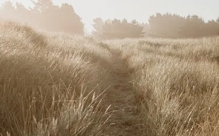 musica- Relax y fuera el estres 