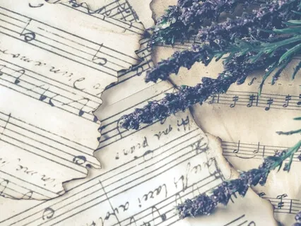 Música Relaxante Para Dormir