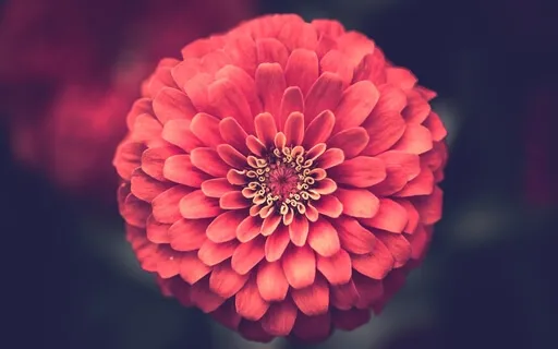 Musical Mantra Meditation For Divine Connection