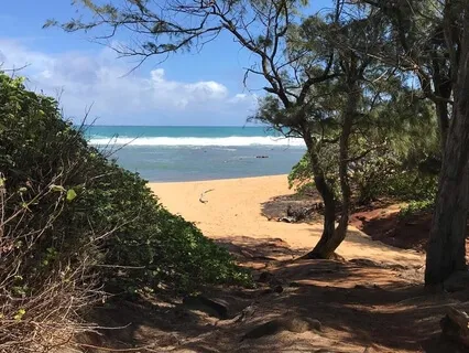 Musical Meditation 'Ocean'