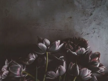 Musical Meditations: Strong Back, Soft Front, Wild Heart