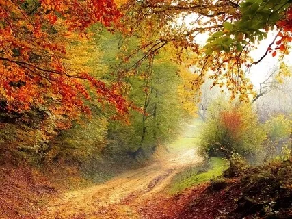 Musique douce 1h : Méditation, Relaxation & Yoga