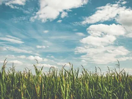 Musique pour la relaxation: Oxygène Céleste