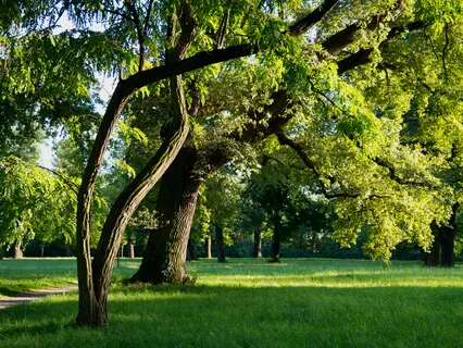 Must Have Walked By Here 100 Times