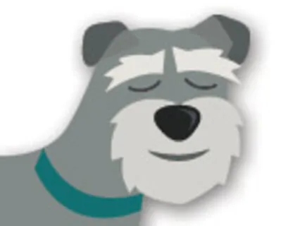 Mutt Meditation: Introduction to Dog Walk Meditation