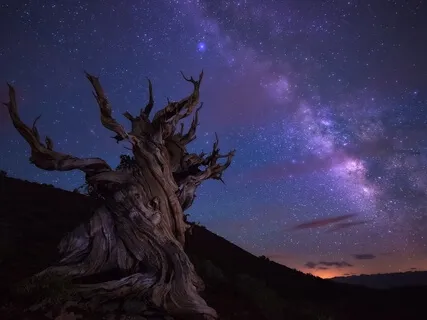 Музыка для сна (борьба с бессонницей)