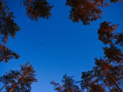 Music For Falling Asleep (Музыка для засыпания)