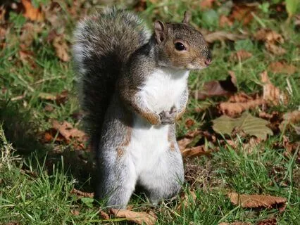 My Advice Before Taking Action