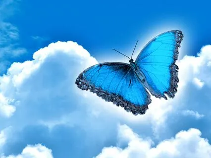 My Angel In The Sky Vocal Songs