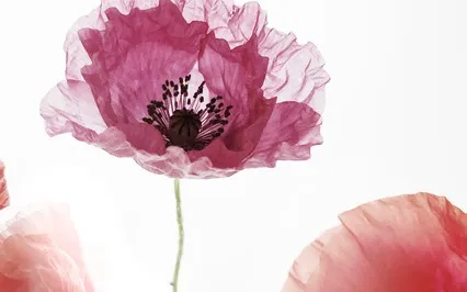 My Beautiful Body Energy Clearing Meditation