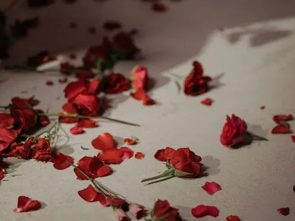 My Beauty Is A Legacy: Affirmations & Reiki For Beauty