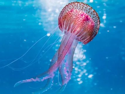 My Body And The Space Around Me