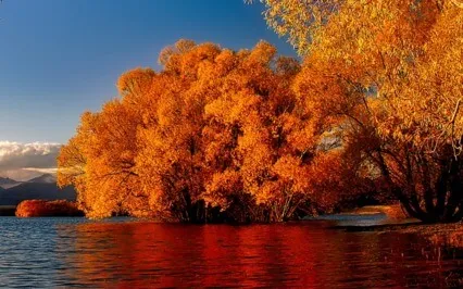 My Brand New Day Affirmations