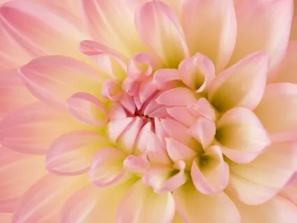 My Breath Is My Savior