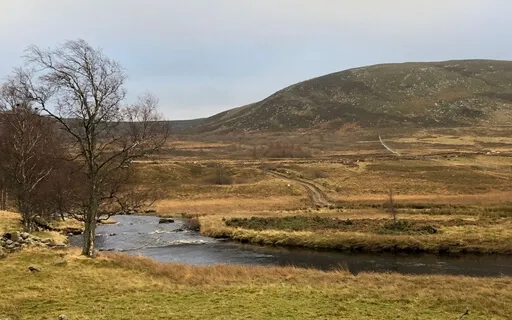 My Breath Is With Me