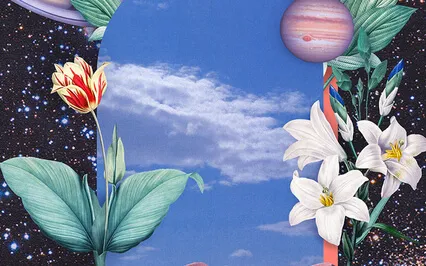 My Creativity Has No Bounds