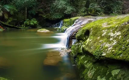 My Cup Runneth Over By Hakim