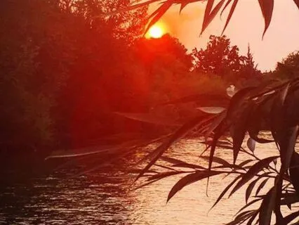 My Daily Body Prayer