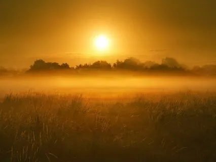 My Divine Beloved: Experiencing Your Spirit Family