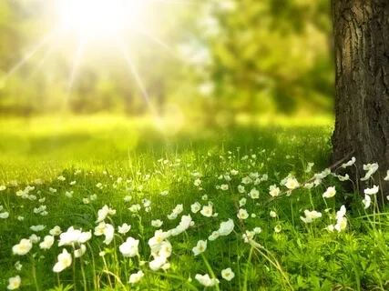 My Forgiveness Brings The Light - Course In Miracles