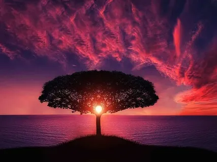 My Grievances Hide The Light