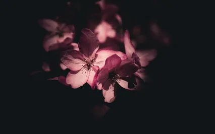 My Heart; A Love Letter