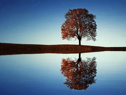 My Heart Expands As My Soul Awakens