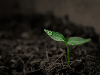 My Hope Is Still Healing With Frankie Orella