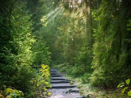 My Journey - Delta Binaural Beats