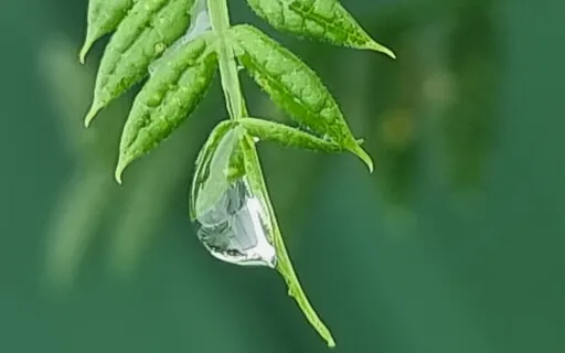 My Love Letter To You In Your Pain