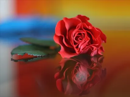 My Love Letter To You