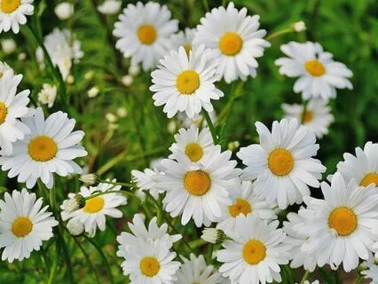 My Magical Morning Ritual