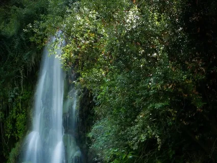 My Miracle Is In Motion