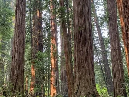 My Morning Meditation: Finding Ground