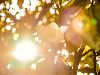 My New Tomorrow - A Song About Acceptance