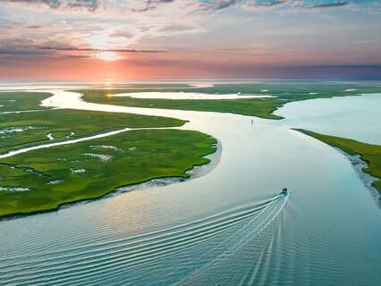 My Focus Zone: Ambient Music For Study And Work