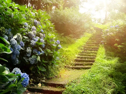 My Quarter Life Crisis - Sharing My Awakening Journey From 21 To 35