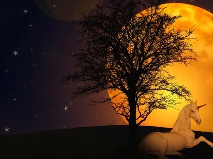 My Rainbow Power Body And Power Animal Sleep 