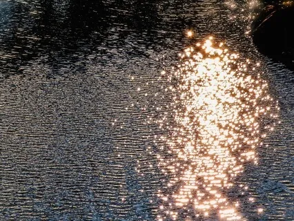 My Relationships: Medicine, Or Poison?