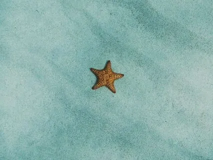 My Safe Calm Space: Meditation For Kids