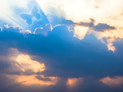 Heavenly Healing Meditation Songs