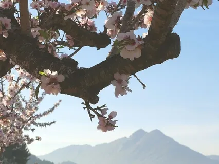 My Soul Is Free -  Affirmation For Calm