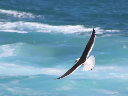 My Soul's Migration - Storytime, Talk & Inspirational Poem