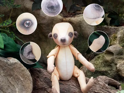 My Special Senses Meditation