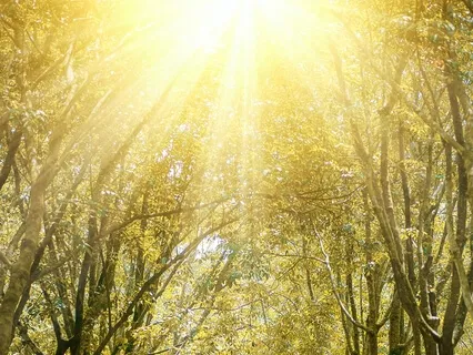 My Sunshine ( Live 15 Of July 2021) Grace & Pablo