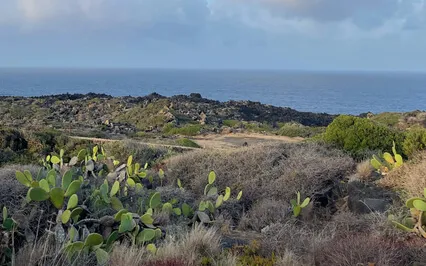 My Take On The 8 Fold Path Of Buddhism 