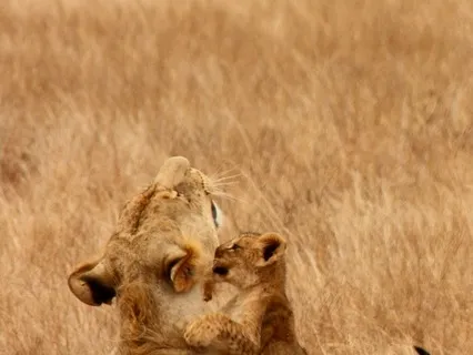 My Time: A Guided Meditation for Caregivers