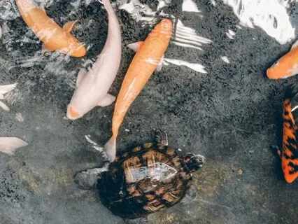 My Value Is Recognized: Confidence Affirmations