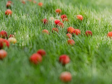 Myrica - Music For Relaxation And Stress Relief