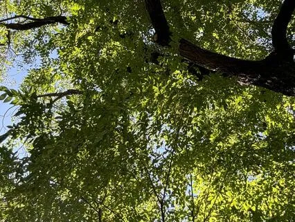 Mysterious A Soundscape